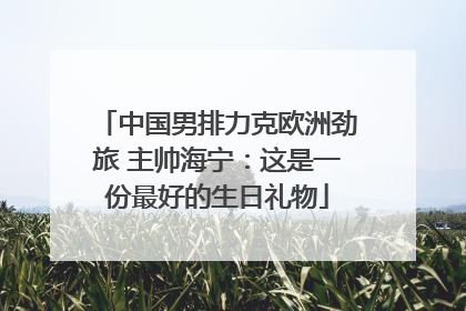 中国男排力克欧洲劲旅 主帅海宁：这是一份最好的生日礼物