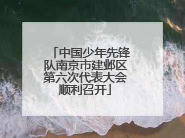 中国少年先锋队南京市建邺区第六次代表大会顺利召开