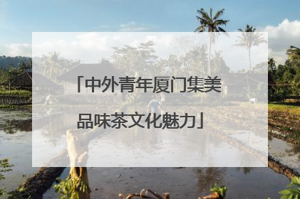 中外青年厦门集美品味茶文化魅力