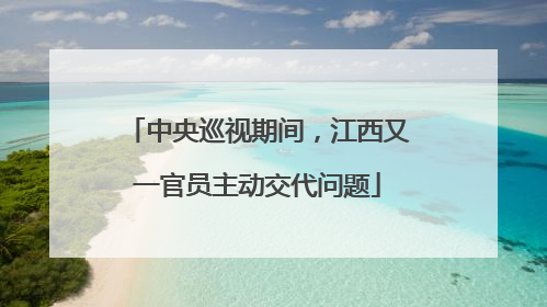 中央巡视期间，江西又一官员主动交代问题