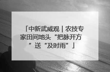 中新武威观｜农技专家田间地头“把脉开方”送“及时雨”