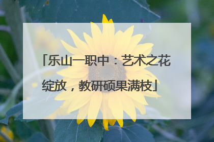 乐山一职中：艺术之花绽放，教研硕果满枝