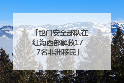 也门安全部队在红海西部解救177名非洲移民