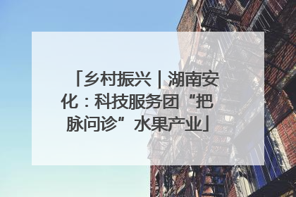 乡村振兴｜湖南安化：科技服务团“把脉问诊”水果产业