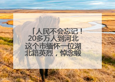 人民不会忘记！20多万人到河北这个市缅怀一位湖北籍英烈，悼念缎带挂满纪念馆