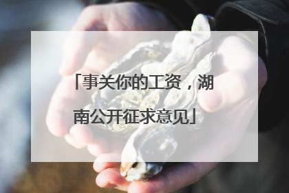 事关你的工资，湖南公开征求意见