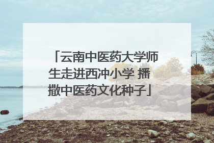 云南中医药大学师生走进西冲小学 播撒中医药文化种子
