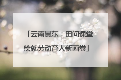 云南景东：田间课堂绘就劳动育人新画卷