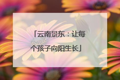 云南景东：让每个孩子向阳生长