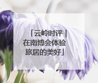 云岭时评｜在南博会体验旅居的美好