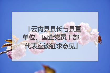 云霄县县长与县直单位、国企党员干部代表座谈征求意见