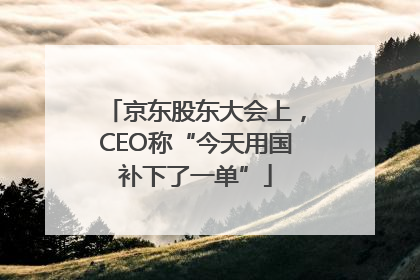 京东股东大会上，CEO称“今天用国补下了一单”