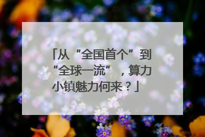 从“全国首个”到“全球一流”，算力小镇魅力何来？