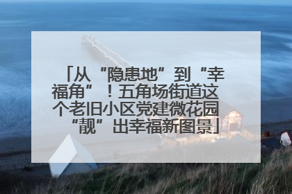 从“隐患地”到“幸福角”！五角场街道这个老旧小区党建微花园“靓”出幸福新图景