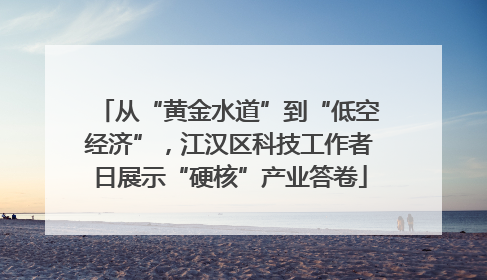 从“黄金水道”到“低空经济”，江汉区科技工作者日展示“硬核”产业答卷