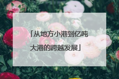 从地方小港到亿吨大港的跨越发展