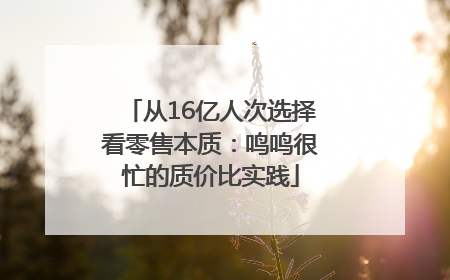 从16亿人次选择看零售本质：鸣鸣很忙的质价比实践