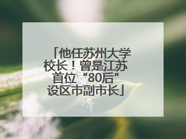 他任苏州大学校长！曾是江苏首位“80后”设区市副市长