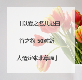 以爱之名共赴白首之约 50对新人情定张北草原