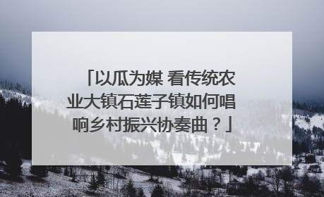以瓜为媒 看传统农业大镇石莲子镇如何唱响乡村振兴协奏曲？