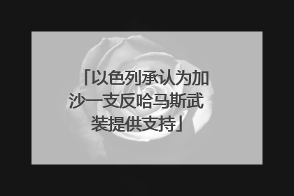 以色列承认为加沙一支反哈马斯武装提供支持