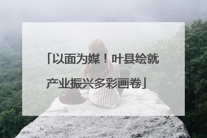 以面为媒！叶县绘就产业振兴多彩画卷