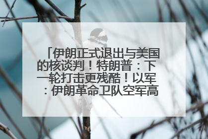 伊朗正式退出与美国的核谈判！特朗普：下一轮打击更残酷！以军：伊朗革命卫队空军高层指挥系统已被击垮