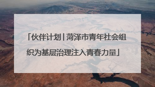 伙伴计划│菏泽市青年社会组织为基层治理注入青春力量