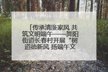 传承清廉家风 共筑文明端午——舞阳街道长春村开展“树道德新风 扬端午文化”主题活动