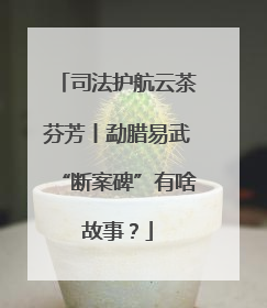 司法护航云茶芬芳丨勐腊易武“断案碑”有啥故事？