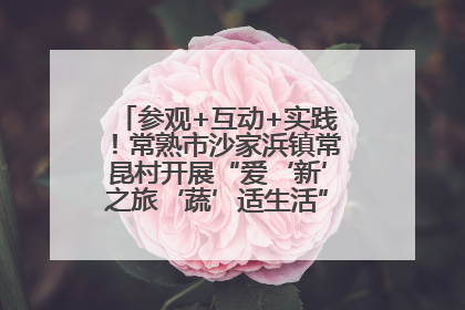 参观+互动+实践！常熟市沙家浜镇常昆村开展“爱‘新’之旅‘蔬’适生活”参观学习活动