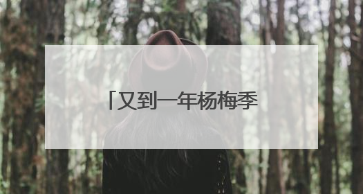 又到一年杨梅季！浙江杨梅赴沪参加世界级食品展