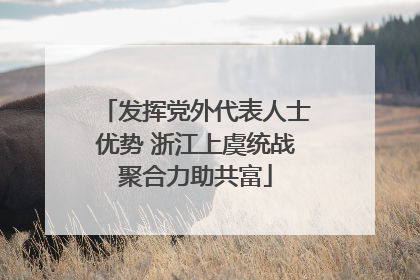 发挥党外代表人士优势 浙江上虞统战聚合力助共富