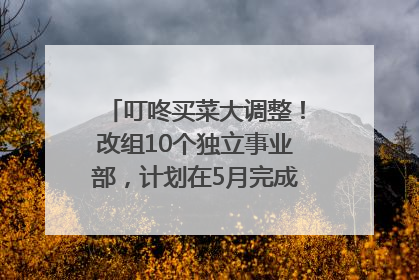 叮咚买菜大调整！改组10个独立事业部，计划在5月完成App端全面改版