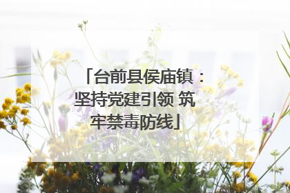 台前县侯庙镇：坚持党建引领 筑牢禁毒防线