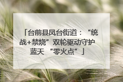 台前县凤台街道：“统战+禁烧”双轮驱动守护蓝天 “零火点”