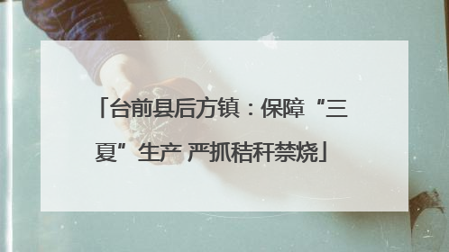 台前县后方镇：保障“三夏”生产 严抓秸秆禁烧