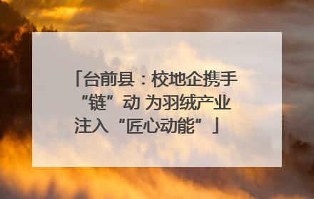 台前县：校地企携手“链”动 为羽绒产业注入“匠心动能”