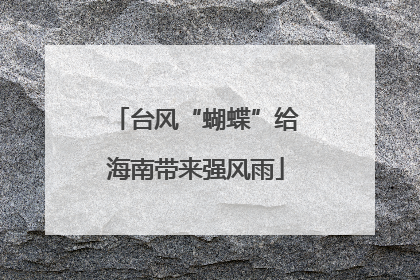 台风“蝴蝶”给海南带来强风雨