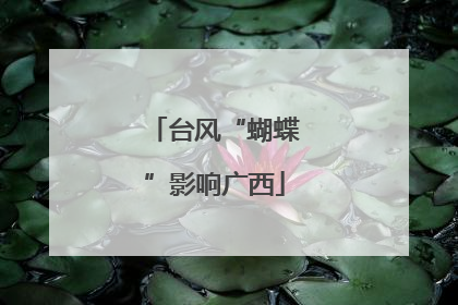 台风“蝴蝶”影响广西