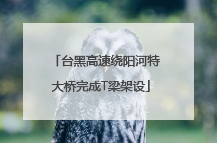 台黑高速绕阳河特大桥完成T梁架设