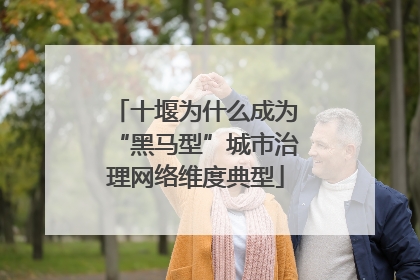 十堰为什么成为“黑马型”城市治理网络维度典型