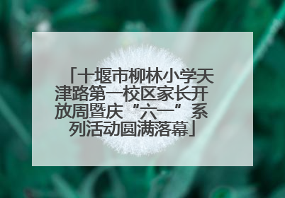 十堰市柳林小学天津路第一校区家长开放周暨庆“六一”系列活动圆满落幕