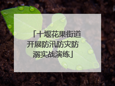 十堰花果街道开展防汛防灾防溺实战演练