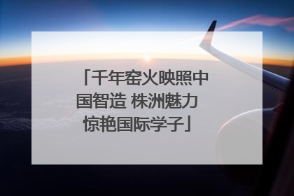 千年窑火映照中国智造 株洲魅力惊艳国际学子