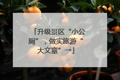 升级景区“小公厕”，做实旅游“大文章”→