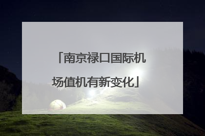 南京禄口国际机场值机有新变化