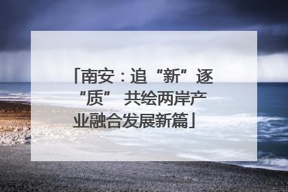 南安：追“新”逐“质” 共绘两岸产业融合发展新篇