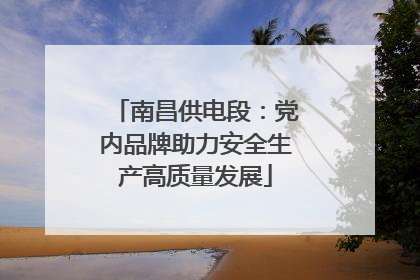 南昌供电段：党内品牌助力安全生产高质量发展