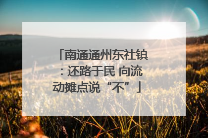 南通通州东社镇：还路于民 向流动摊点说“不”